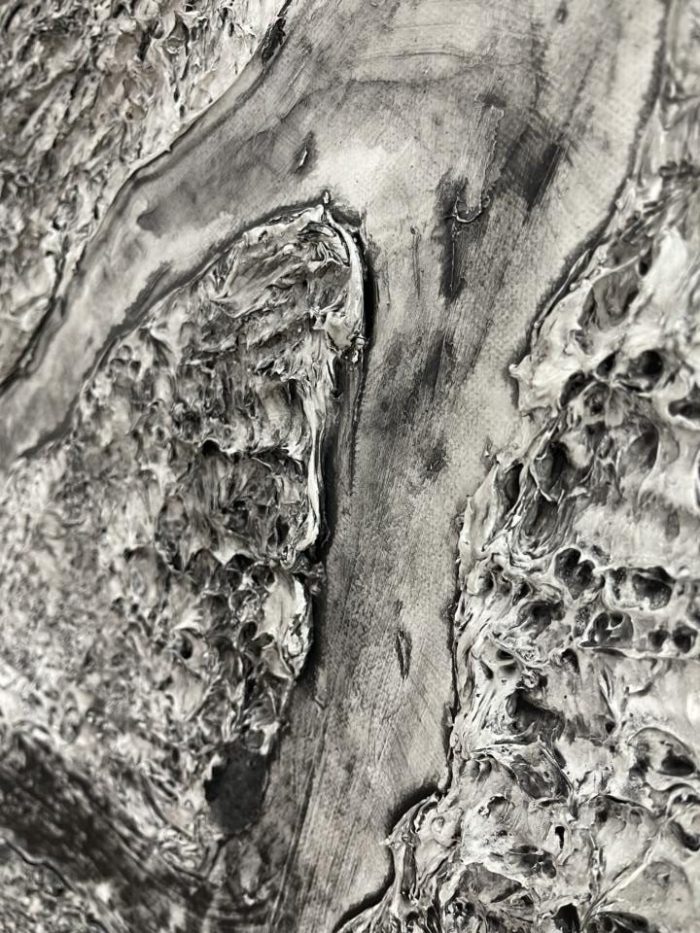 Black and white 3Dart - Image 6