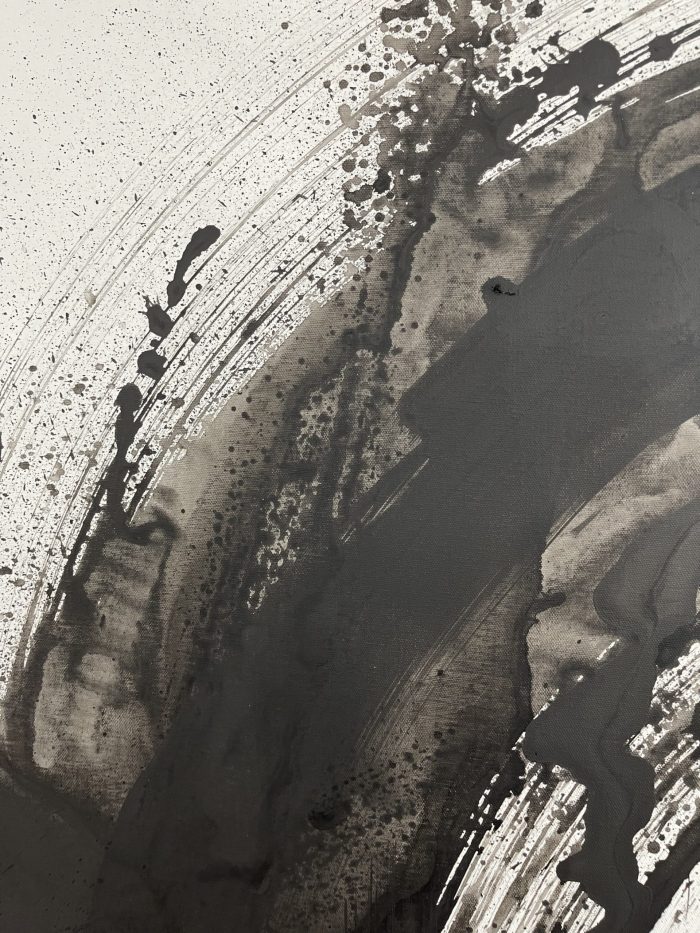 The black - Image 4