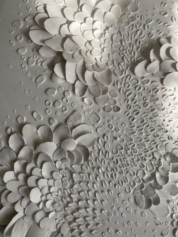 Snake skin - Image 7