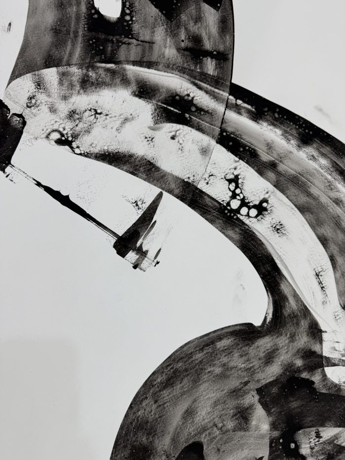 Ellipse Black - Image 3