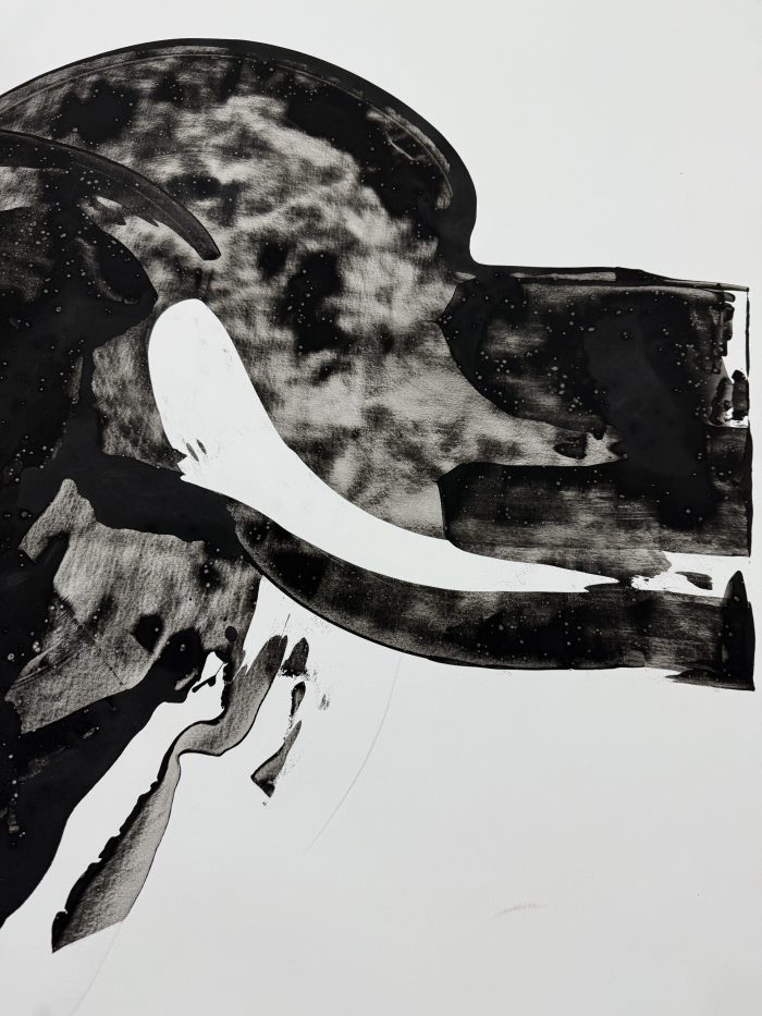 Ellipse Black - Image 4